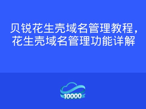 贝锐花生壳域名管理教程,花生壳域名管理功能详解