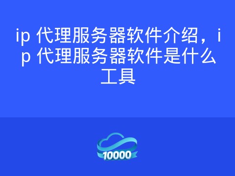 ip 代理服务器软件介绍,ip 代理服务器软件是什么工具