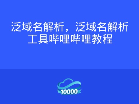 泛域名解析,泛域名解析工具哔哩哔哩教程