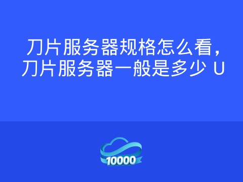 刀片服务器规格怎么看，刀片服务器一般是多少 U