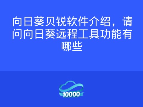 向日葵贝锐软件介绍,请问向日葵远程工具功能有哪些