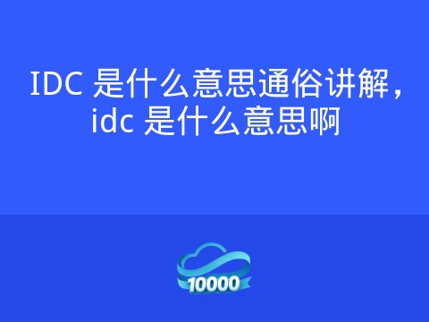 IDC 是什么意思通俗讲解,idc 是什么意思啊