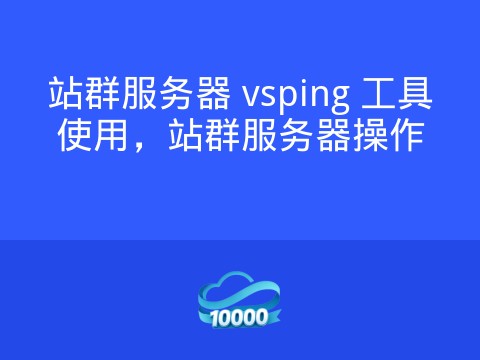 站群服务器 vsping 工具使用，站群服务器操作