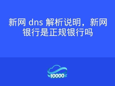 新网 dns 解析说明,新网银行是正规银行吗