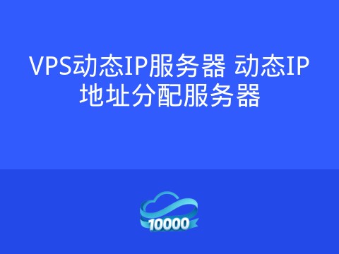 VPS动态IP服务器 动态IP地址分配服务器