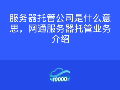 服务器托管公司是什么意思,网通服务器托管业务介绍