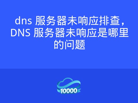 dns 服务器未响应排查,DNS 服务器未响应是哪里的问题