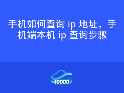 手机如何查询 ip 地址,手机端本机 ip 查询步骤