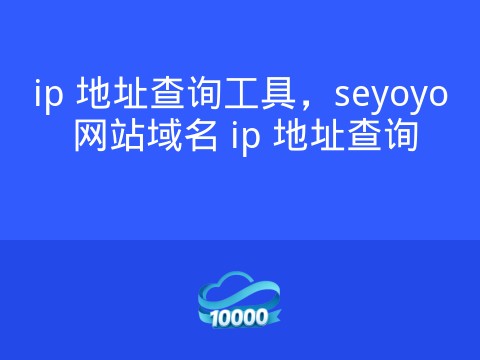 ip 地址查询工具,seyoyo 网站域名 ip 地址查询