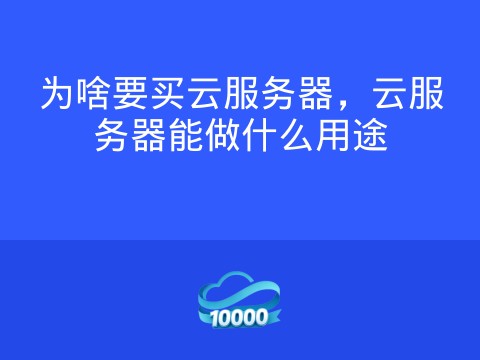 为啥要买云服务器,云服务器能做什么用途