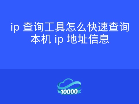 ip 查询工具怎么快速查询本机 ip 地址信息