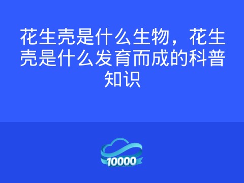 花生壳是什么生物,花生壳是什么发育而成的科普知识