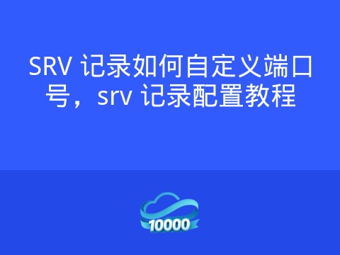 SRV 记录如何自定义端口号,srv 记录配置教程