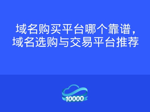域名购买平台哪个靠谱,域名选购与交易平台推荐