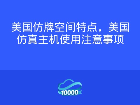 美国仿牌空间特点,美国仿真主机使用注意事项