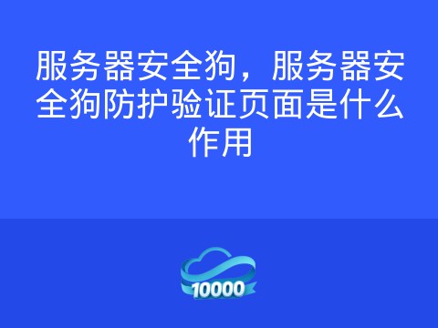 服务器安全狗,服务器安全狗防护验证页面是什么作用