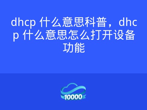 dhcp 什么意思科普,dhcp 什么意思怎么打开设备功能
