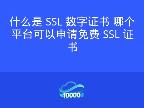 什么是 SSL 数字证书 哪个平台可以申请免费 SSL 证书