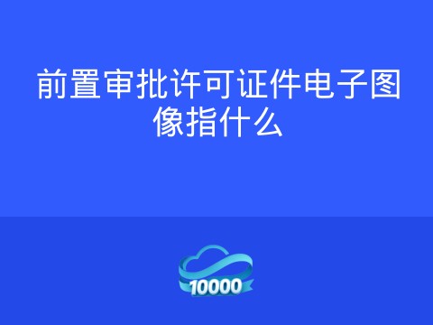 前置审批许可证件电子图像指什么