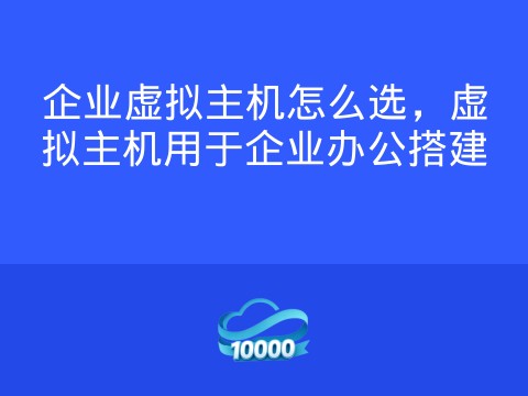 企业虚拟主机怎么选,虚拟主机用于企业办公搭建