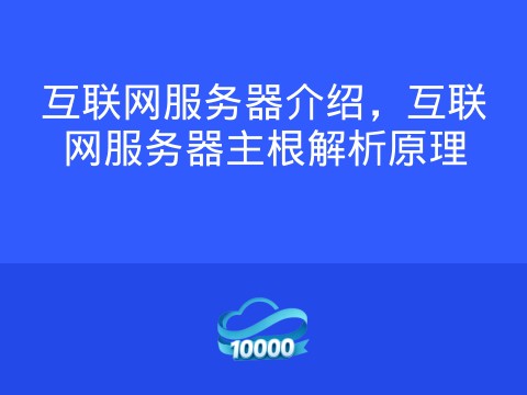 互联网服务器介绍,互联网服务器主根解析原理