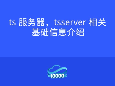 ts 服务器,tsserver 相关基础信息介绍