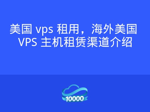 美国 vps 租用,海外美国 VPS 主机租赁渠道介绍