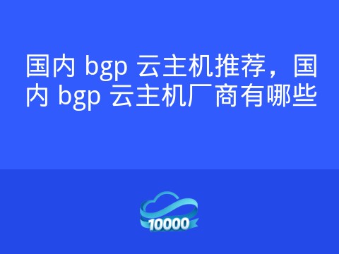国内 bgp 云主机推荐,国内 bgp 云主机厂商有哪些