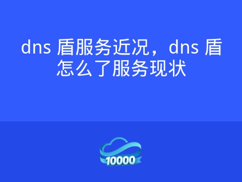 dns 盾服务近况,dns 盾怎么了服务现状