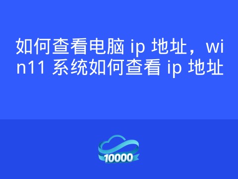 如何查看电脑 ip 地址，win11 系统如何查看 ip 地址