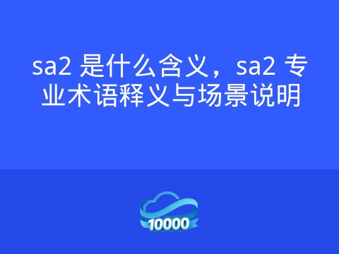 sa2 是什么含义,sa2 专业术语释义与场景说明