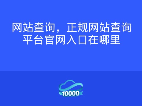 网站查询,正规网站查询平台官网入口在哪里