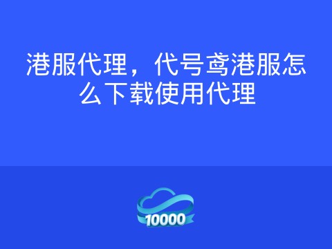 港服代理，代号鸢港服怎么下载使用代理
