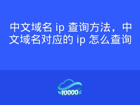 中文域名 ip 查询方法,中文域名对应的 ip 怎么查询