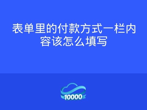 表单里的付款方式一栏内容该怎么填写