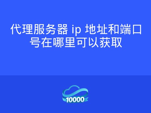 代理服务器 ip 地址和端口号在哪里可以获取