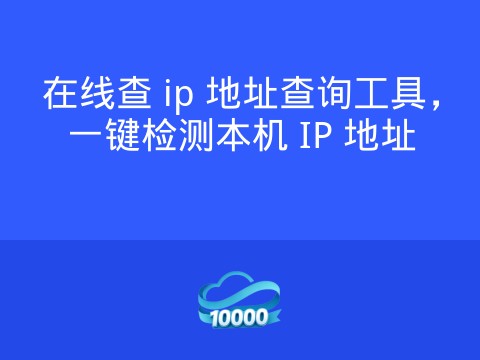 在线查 ip 地址查询工具,一键检测本机 IP 地址