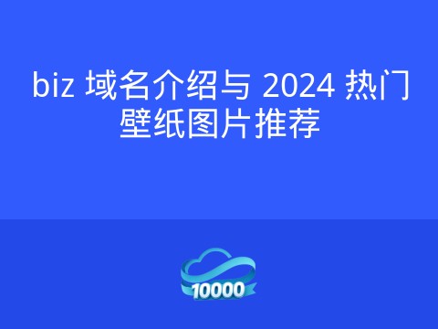biz 域名介绍与 2024 热门壁纸图片推荐