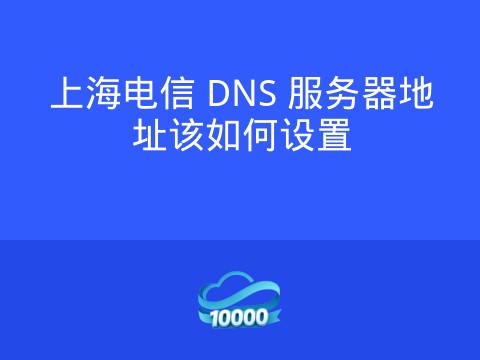 上海电信 DNS 服务器地址该如何设置
