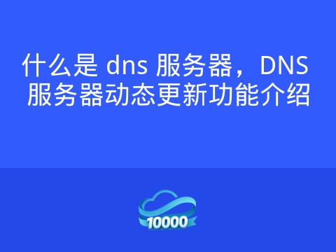 什么是 dns 服务器,DNS 服务器动态更新功能介绍