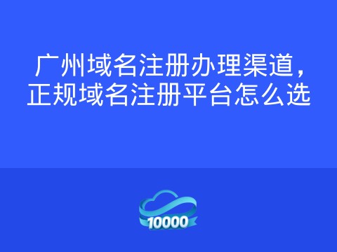 广州域名注册办理渠道,正规域名注册平台怎么选