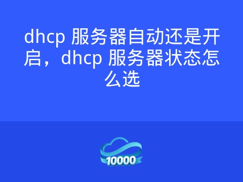 dhcp 服务器自动还是开启，dhcp 服务器状态怎么选