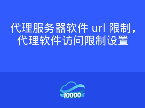 代理服务器软件 url 限制,代理软件访问限制设置