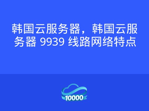 韩国云服务器，韩国云服务器 9939 线路网络特点