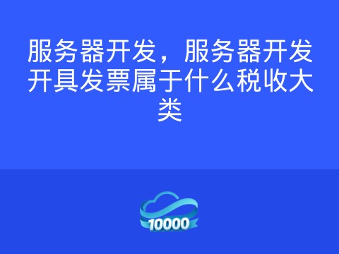 服务器开发,服务器开发开具发票属于什么税收大类