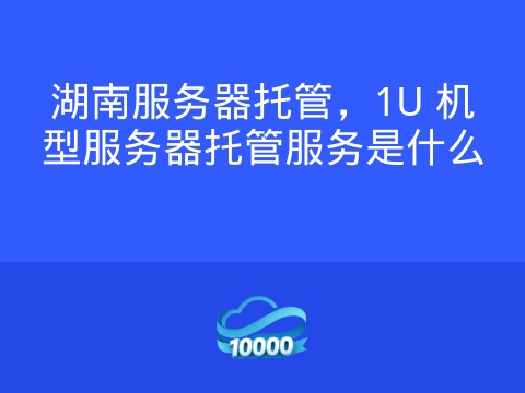 湖南服务器托管,1U 机型服务器托管服务是什么