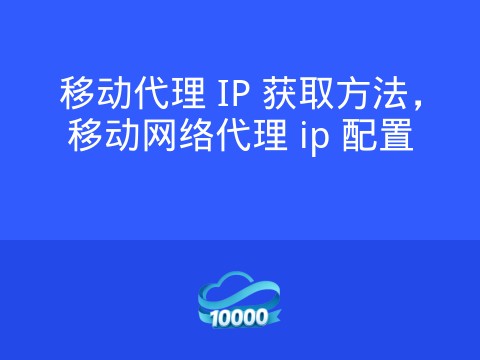 移动代理 IP 获取方法,移动网络代理 ip 配置