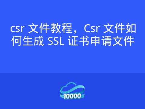csr 文件教程,Csr 文件如何生成 SSL 证书申请文件