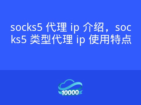 socks5 代理 ip 介绍,socks5 类型代理 ip 使用特点