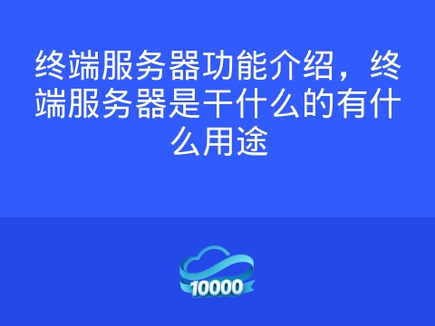 终端服务器功能介绍,终端服务器是干什么的有什么用途
